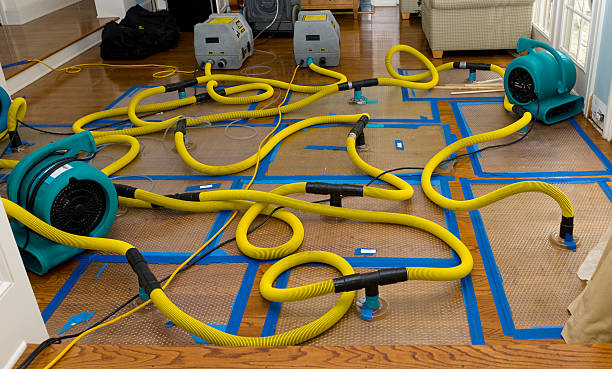 Professional Water Damage Repair technician working in Barberton, OH